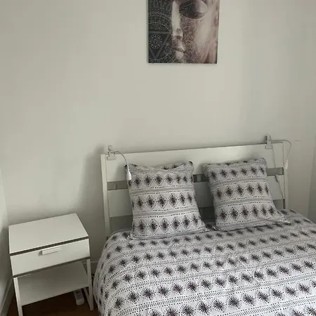 Vivez En Duplex Plein Centre *